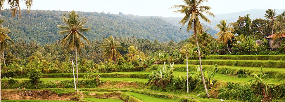 Bali