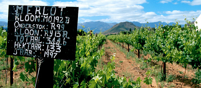 Winelands