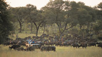 Privata Safarilodger